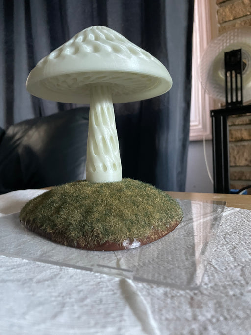 The Lively Mushroom
